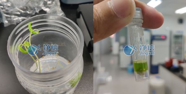 1647334402125114.jpg 33.jpg