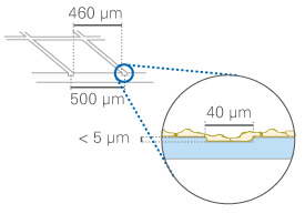 (ibidi)μ-Dish 35 mm帶計數格培養皿-80156 80151 81166 81161 81148 81168